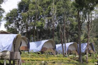 Dieng glamping syari'ah - 6