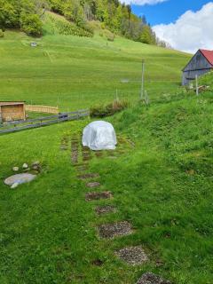 Wh Sonnenaufgang - 9