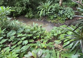 Jungle Hideaway Villas 1 - River Cafe - Ubud - 2