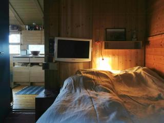 Ål Cabin With Panoramic Views - 4