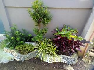 Country Bug Private Resort - 3