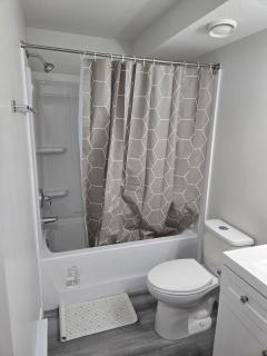 Brand New Peaceful and Cozy Suite - 4