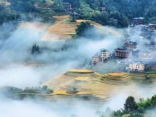 Longji Terrace La vie Inn - 4