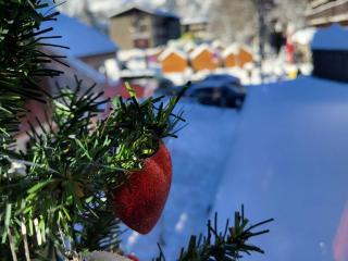 Duplex Centre Station 5 Pers, Animaux Adm - FR-1-836-37 - Les Carroz-d'Araches - 3