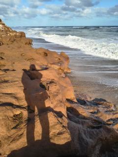 Refugio Torre del Bosque - 7