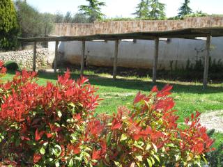 Neue Fantastische Casa Degli Ulivi Privaten Pool - 2