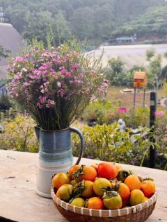 Nhà Của Thùy - 9