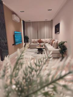 شقه بغرفتين نوم تصميم عصري - 2