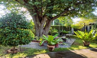 Viphuanan Resort - Nong Prue - 8