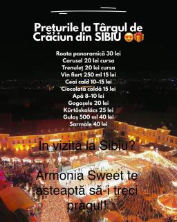 Armonia Sweet Sibiu - Sibiu - 5