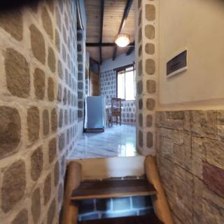 G&J House - Bulle tropicale - 1