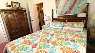 The Cape Flamingo - 2