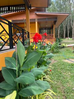 SeaMountain Kohyao Noi - 2