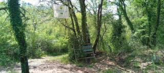 La Love Room de la forêt - 9