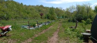 La Love Room de la forêt - 1