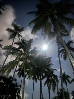 The Maze House Anjuna! - 5