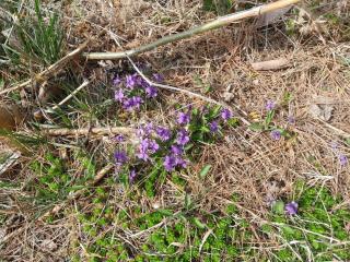 Taean Haeyang Jungwon Pension - 4