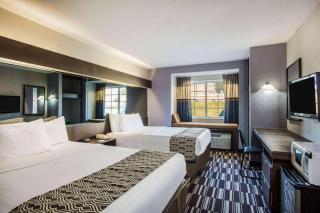 Microtel Inn & Suites by Wyndham Chattanooga/Near Hamilton P - 7