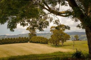 Lazy Daisy Farm by Tiny Away - Warragul - 9