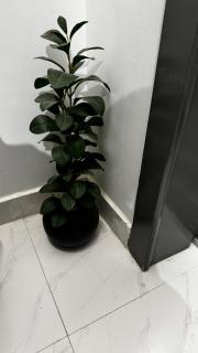 New and elegant apartment in Abha, Hajla neighborhood near Abha Airport - 9