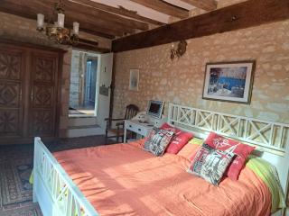 Chambres d'Hôtes L'Ecu - Preuilly-sur-Claise - 4