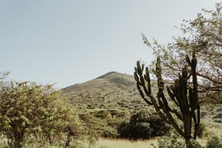 Duiker Game Lodge - 8