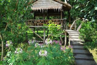 Phi Yen Eco Resort Can Tho - 5