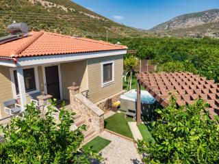 Desa Green Homes - 1