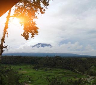 Green Pacing Lodge - 5