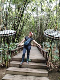 Green Pacing Lodge - 4