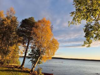 Lakeside, picture window, sauna, WiFi,Silent Shine - 8