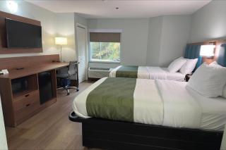 Wingate by Wyndham Macon West I-475 - 6