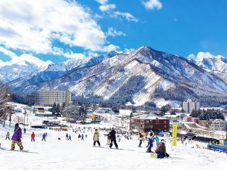 47 - Snow Village Cozy Lodge Yuzawa - 0