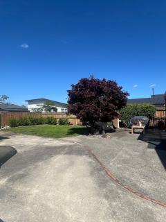 Chic 4 bedroom City Home with large Garden - 7