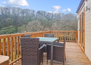 Llwyngwair Manor Holiday Park - 6