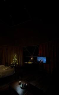 Luxury Star Gazing Dome 3 with Log Burner & Heating - 7