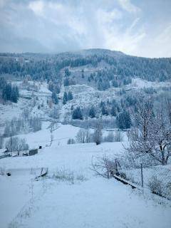 B&B Berninapass- Bernina Experience - 7