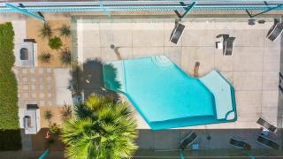 Bright Micro-Flat steps from DTPH Pool - 1