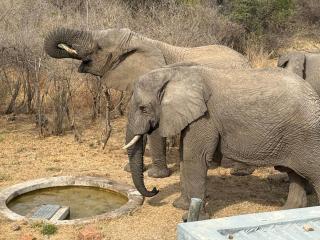 Blessed Lodge at Ingilozi Mabalingwe - 7