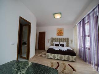 Pensiunea Alexandra - Predeal - 7