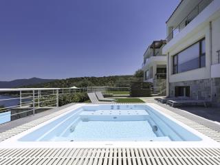 Olivia Sports and Sea - 1