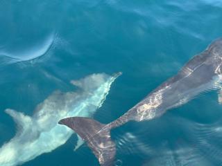 Omeesha Beach Hotel - 1