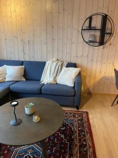 Ski apartment in Hafjell - 7