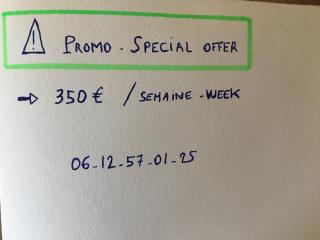 Gite de la mare aux sangliers Huelgoat - 9