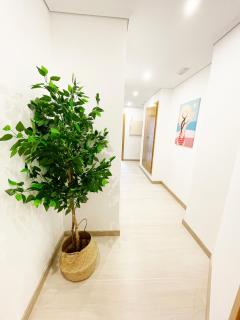 Novedad Avenida puente del Pilar - 6