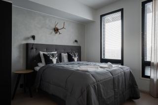 Le Chalet Lingonberry D39 Ski-in Ski-out by Aavalevi - 9