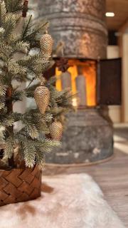 Luxury City Cottage - 6