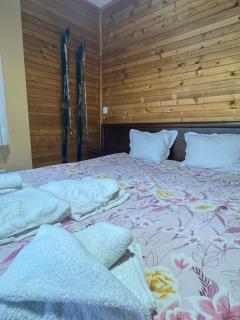 Rila Mountain Retreat Hotel - 6