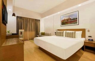 Hotel Red Plaza-Near Delhi Airport-Free Airport Drop - 3