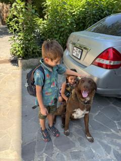 Guests house Qotukner - 6